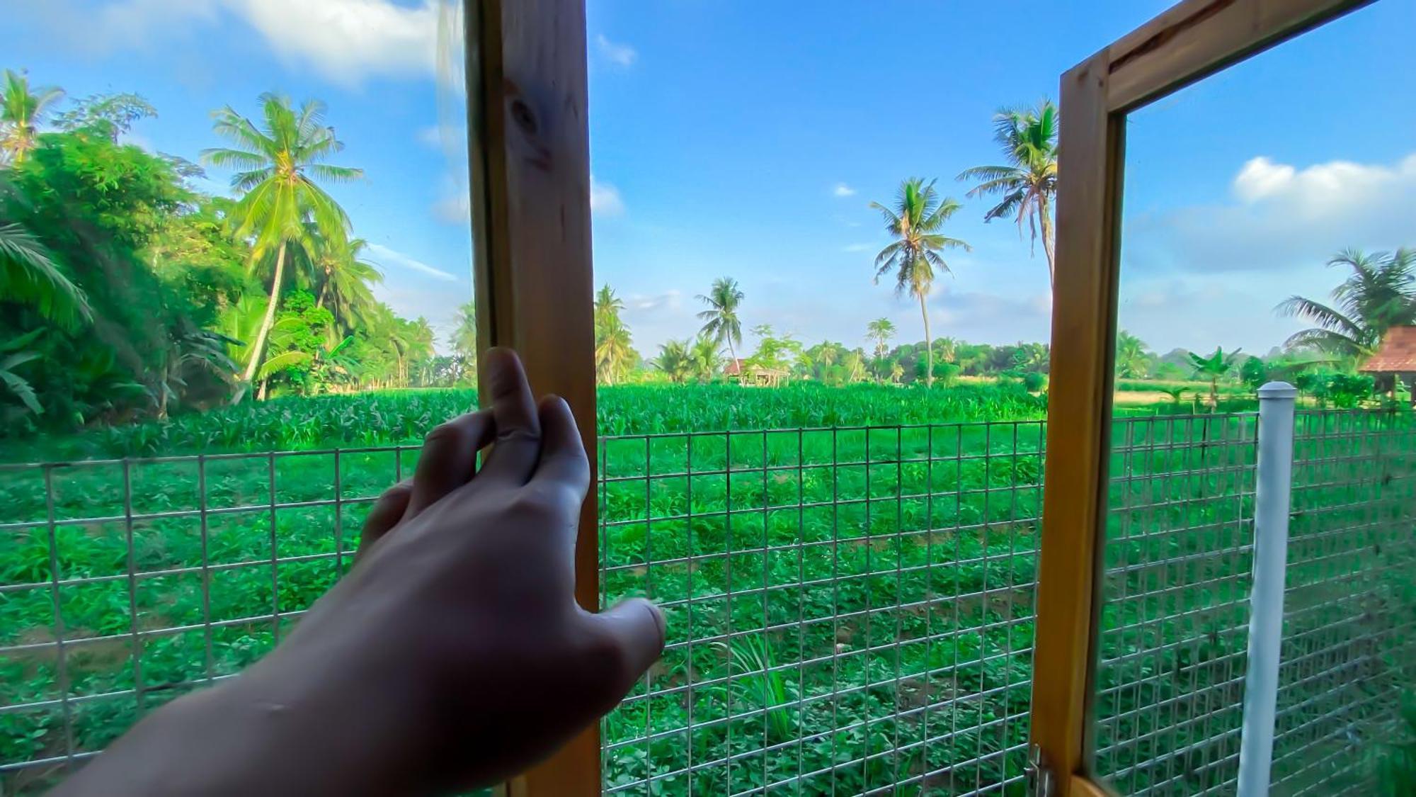 Wooden Kemiren Homestay Banyuwangi Banyuwangi  Dış mekan fotoğraf